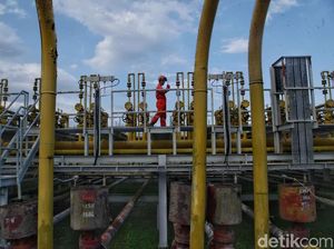 Lifting Migas Kendor, Pemerintah Diminta Guyur Insentif
