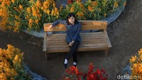 Taman Ramadhanu berisi taman bunga celosia yang jaraknya tidak terlalu jauh dengan Taman Dewari. (Pertiwi/detikTravel)