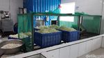 Membandingkan Kantin TKA China dan Indonesia di Morowali