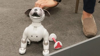 Robot anjing Aibo buatan Sony ini sebenarnya lebih mirip mainan. Robot lucu ini bisa diperintahan untuk melakukan beberapa trik. (Foto: Sarah Tew/CNET)