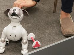 Intip Yuk, Ini Ada Kumpulan Robot Pintar dan Lucu