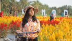 Taman Bunga Magelang Ala Keukenhof