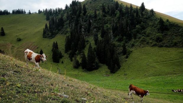 IEU-CEPA Diteken Pekan Depan, Semangat Bisnis Swiss Meningkat