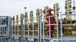 Mengintip Blok Sanga-Sanga yang Kini Milik Pertamina