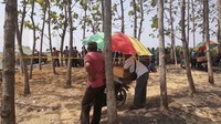 Banyaknya warga yang berdatangan juga memunculkan pedagang musiman.