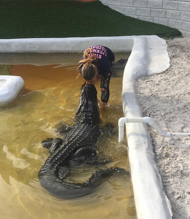 Bekerja sebagai penangkap buaya yang ‘terperangkap’ keluar dari habitatnya seperti ke rumah warga, kolam renang ataupun lapangan golf, Gabby memiliki pesan untuk orang-orang yang takut pada buaya. “95% orang berpikir mereka akan dikejar dan dimakan buaya. Nyatanya buaya tidak akan membunuhmu dan mengejarmu tanpa alasan. Mereka tidak ingin apapun dari kita, mereka tidak akan mengejarmu. Mereka tidak akan keluar dari air dan memakanmu. Mereka hanya ingin sendirian. Mereka akan menyerang ketika merasa terancam,” tuturnya. Foto: Instagram @ gabbynikolle