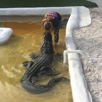 Bekerja sebagai penangkap buaya yang ‘terperangkap’ keluar dari habitatnya seperti ke rumah warga, kolam renang ataupun lapangan golf, Gabby memiliki pesan untuk orang-orang yang takut pada buaya. “95% orang berpikir mereka akan dikejar dan dimakan buaya. Nyatanya buaya tidak akan membunuhmu dan mengejarmu tanpa alasan. Mereka tidak ingin apapun dari kita, mereka tidak akan mengejarmu. Mereka tidak akan keluar dari air dan memakanmu. Mereka hanya ingin sendirian. Mereka akan menyerang ketika merasa terancam,” tuturnya. Foto: Instagram @ gabbynikolle