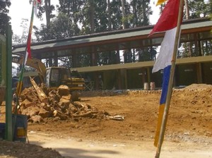 Aktivis Protes Penebangan 16 Pohon Damar di Gede Pangrango
