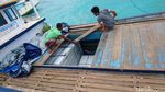 Perjuangan Bawa Panel Surya Menerjang Ombak Demi Terangi Karimunjawa
