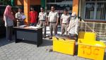 Karena Berbahaya, 18 Ekor Ikan Aligator Dimusnahkan