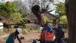 Begini Perjuangan PLN Pulihkan Listrik di Lombok