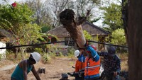 Petugas PLN dibantu TNI menyingkirkan batang pohon yang menimpa jaringan listrik. Dian/Humas PLN Pusat.
