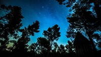 Foto: Untuk traveler yang suka bintang, ada fasiltas berupa teleskop di tiap kamar. Sambil mendengarkan keheningan malam, kamu bisa melihat rasi bintang dengan teleskop. (AttrapRêves/Facebook)