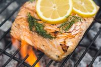 Apakah Garis-garis Putih pada Daging Ikan Salmon Aman Dimakan?