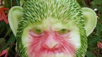 Sosok Caesar di film Planet of Apes ini terbuat dari semangka, lho. Matanya yang hijau merupakan kulit semangka.Foto: sparksflydesign.com