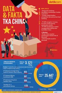 Data dan Fakta TKA China di Morowali