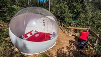 Foto: Kamar pod tersebut diletakkan di tengah hutan sehingga traveler bisa menikmati keindahan alam. (AttrapRêves/Facebook)