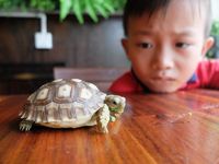Di Kafe Ini, Bisa Minum Kopi Sambil Bermain dengan Kalajengking dan Tarantula