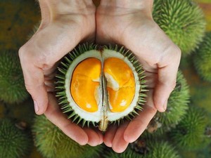 Gemas! Baby Durian yang Mungil Ini Bikin Nggak Tega Melahapnya