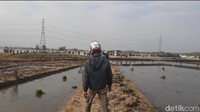 Warga terus berdatangan sepanjang hari. Air dari semburan itu akhirnya dimanfaatkan warga untuk mengairi sawah.