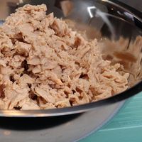 Tak Ingin Ikan Tuna Cepat Punah, Perusahaan Ini Buat Tuna Vegan