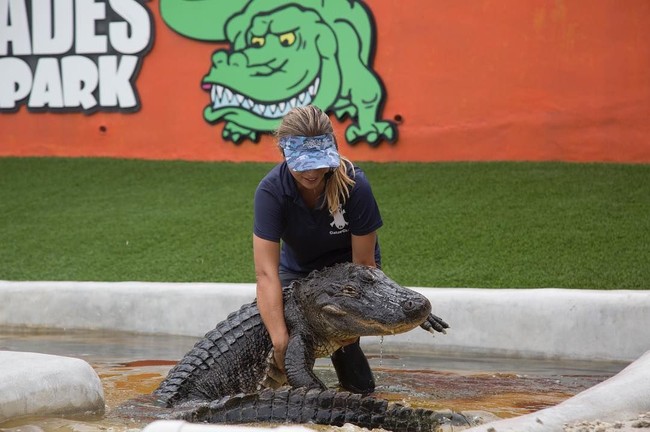 Gabby yang kini berusia 22 tahun pindah dari New York ke Florida demi mengejar passionya ‘bergaul’ bersama buaya. Dia mengaku sudah jatuh cinta dengan hewan tersebut sejak remaja. Foto: Instagram @ gabbynikolle