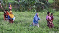 Warga Kayangan terpaksa memanfaatkan air dari aliran Kali Lokosedutan karena tidak adanya air di rumah akibat matinya aliran listrik.