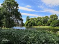 Kecerdasan AI Pada Honor Bikin Kamu Jadi Fotografer Profesional