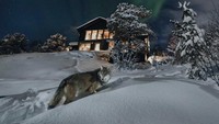 Penginapan ini berada di lanskap yang paling spektakuler di Norwegia. Bila kamu menginap di sini, kamu bisa melihat aurora dan serigala secara langsung lho! Dalam situs pribadinya, Wolf Lodge tidak memaparkan harga inap. Mereka hanya menghitung harga tergantung dari pesanan pengunjung. ( Wolf Lodge)