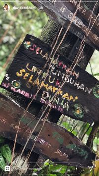 David Beckham: Selamatkan Tumbuhan Untuk Selamatkan Dunia