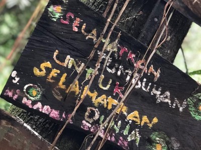 David Beckham: Selamatkan Tumbuhan Untuk Selamatkan Dunia David B eckham: Selamatkan Tumbuhan Untuk Selamatkan Dunia