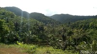 Menuju lokasi Curug Salosin cukup memakan waktu dengan berjalan kaki dan jalan menanjak. Namun, wisatawan akan disuguhkan dengan keindahan alam di sepanjang jalan. (Dadang/detikTravel)