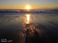 Kecerdasan AI Pada Honor Bikin Kamu Jadi Fotografer Profesional