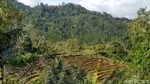 Foto: Air Terjun yang Segar di Ciamis