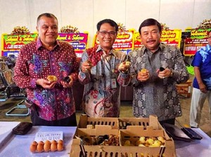 Kementan Dorong Pengusaha Unggas Perbaiki Pola Pemeliharaan