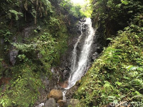 4 Tempat Wisata Curug di Ciamis untuk Liburan Akhir Pekan