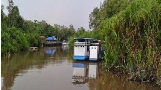 Taman Nasional Tanjung Puting Taman Nasional Tanjung Puting