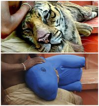 Unik! Adegan 10 Film Laris Sebelum dan Sesudah Special Effect