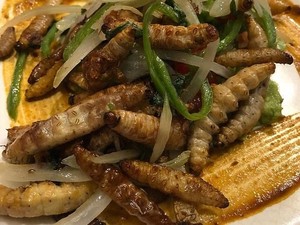 Mengidap Alergi Makanan, Wanita Ini Pilih Makan Serangga dan Cacing