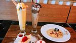 Asyik! Di 10 Kafe Ini Bisa Makan Sambil Main dengan Hewan Lucu