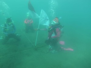 Wanita Selam Indonesia Test Venue Jelang Pecahkan Rekor MURI di Manado