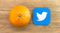 Logo Twitter ternyata ada gunanya juga, jadi alat pemotong jeruk. Istimewa/www.oodesign.jp.