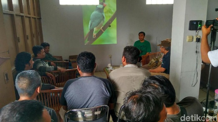 Permen Satwa Dilindungi Terbit, Pecinta Burung Kicau Resah