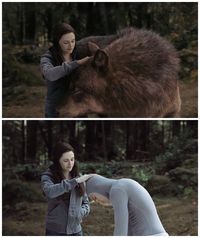 Unik! Adegan 10 Film Laris Sebelum dan Sesudah Special Effect