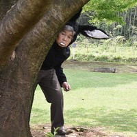 Tak jarang juga suka memakai kostum seperti kelinci dan anjing. Foto: Dok. Kimiko Nishimoto