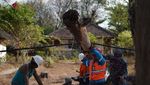 PLN Nyalakan Kembali Listrik di 3 Gili Usai Gempa