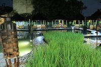 Yuk Makan Di Saung Sambil Mancing Ikan Di 5 Tempat Ini Yuk Makan Di Saung Sambil Mancing Ikan Di 5 Tempat Ini