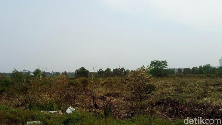 1 Orang Ditangkap Terkait Kebakaran di Dekat Wisma Atlet Jakabaring 1 Orang Ditangkap Terkait Kebakaran di Dekat Wisma Atlet Jakabaring
