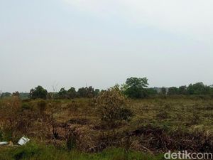 Patroli Asap Kebakaran Hutan Digalakkan demi Suksesnya Asian Games