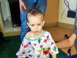 Kumpulan Foto yang Mengharukan